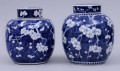 Chinese Blue & White Ovoid Jar