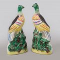Pair of Staffordshire Exotic Birds