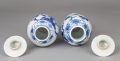 Pair Chinese Blue and White Vases with Lids