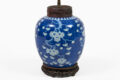 Chinese Blue and White Porcelain Prunus Ginger Jar Lamp