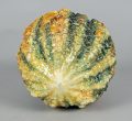Vintage Italian Majolica Melon