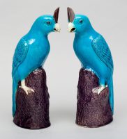 Pair Chinese Turquoise Cockatoos