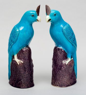 Pair Chinese Turquoise Cockatoos