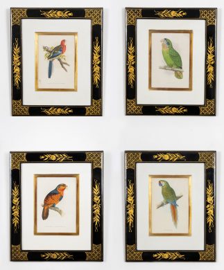Parrot Engravings by Alexander Francis Lydon, Set of Four